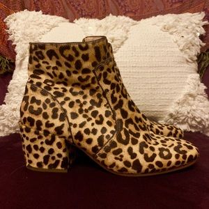 Steve Madden / Kristina Leather Leopard Booties
